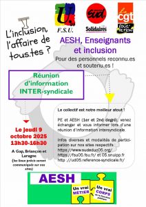 AESh, Enseignant et inclusion